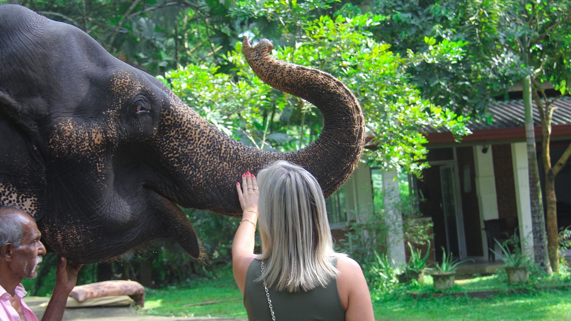 A tourist touching an elephant at Sri Lanka while the elephant bow using its trunk.